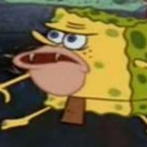 Meet your Posher, Ava